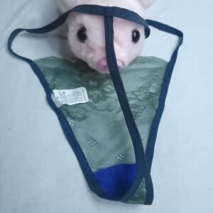 Codigo-111-Panty Hilo de Encaje Semitransparente Color Verde Oliva – Talla S