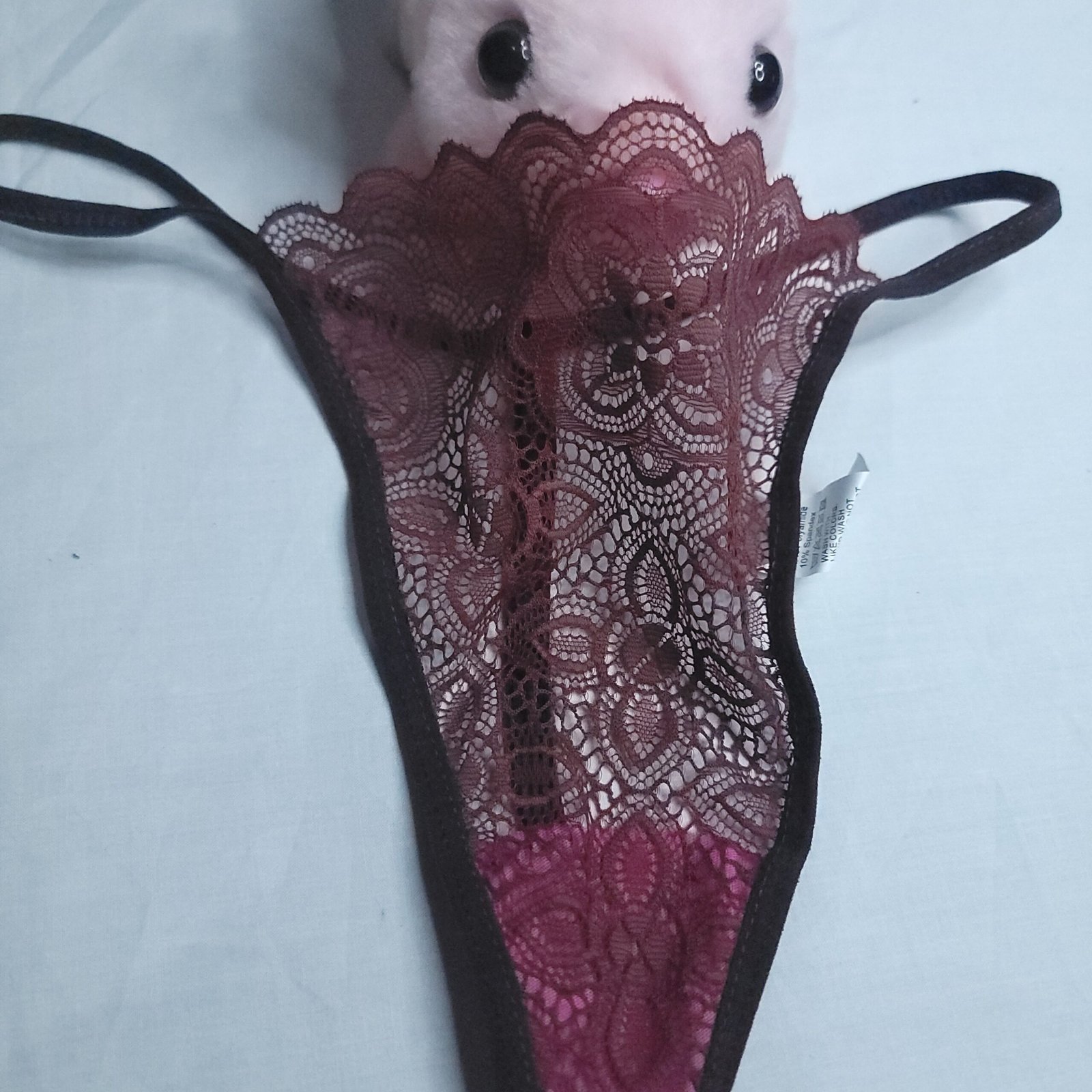 Codigo-111-Panty Hilo de Encaje Semitransparente Color Vino – Talla S - Imagen 2
