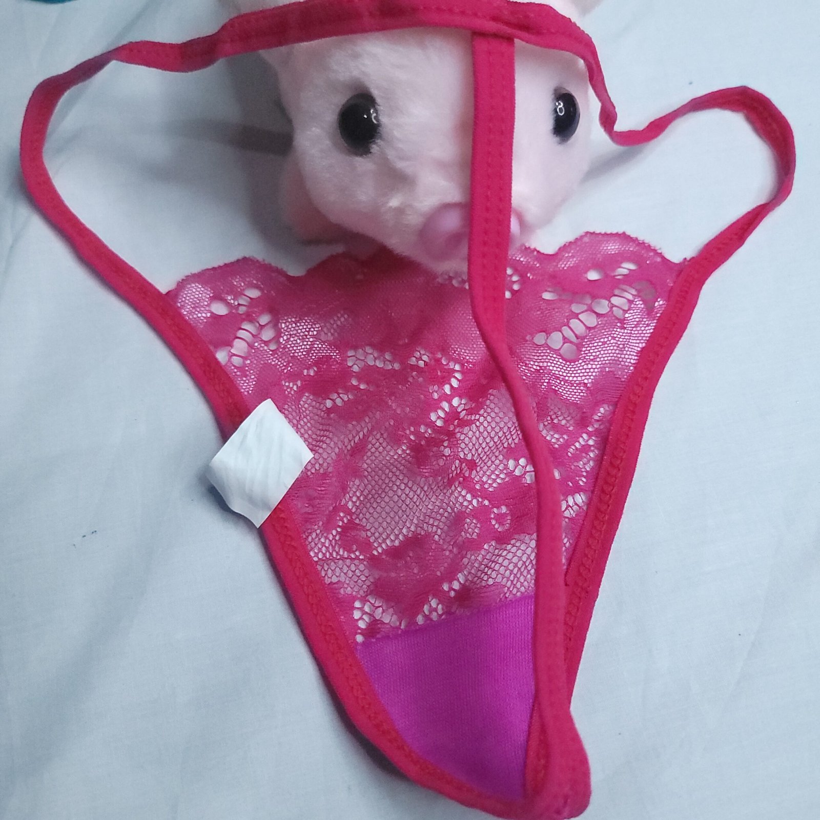 Codigo-111-Panty Hilo de Encaje Semitransparente Color Fucsia – Talla S