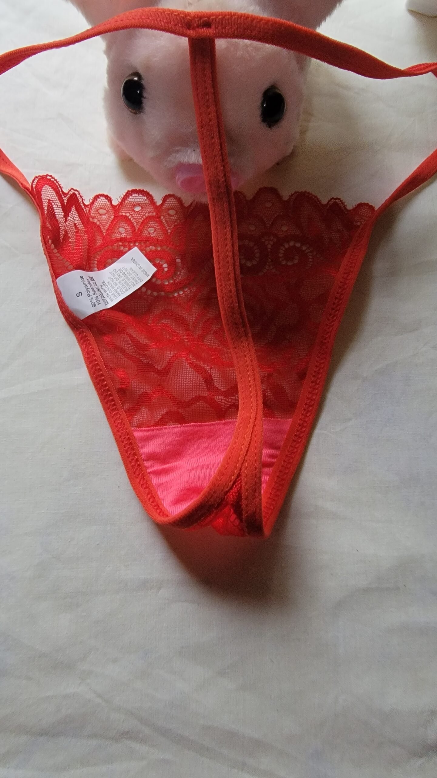 -Panty Hilo de Encaje Semitransparente Color rojo – Talla S - Imagen 4