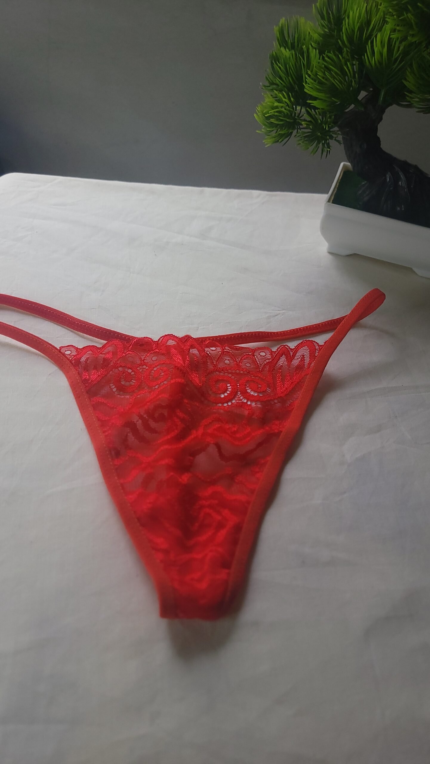 -Panty Hilo de Encaje Semitransparente Color rojo – Talla S - Imagen 3